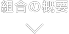 組合の概要